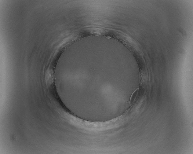 X0000112950043200909071125