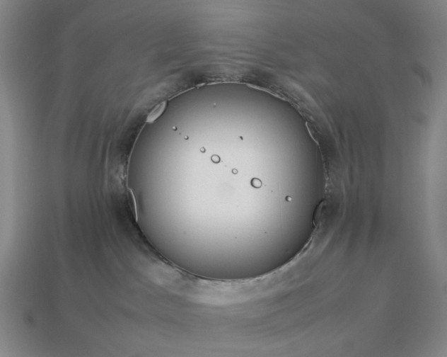 X0000112950045200909071125