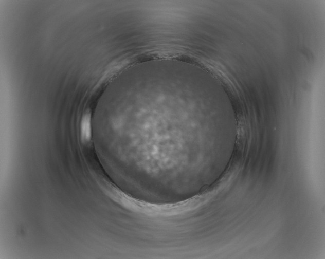 X0000112950046200909071125