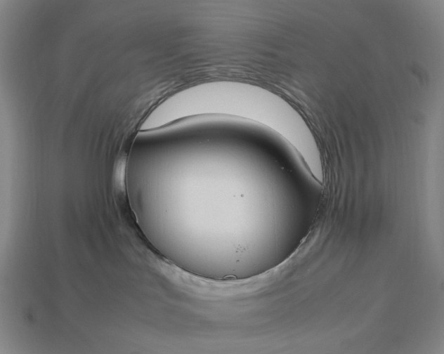 X0000112950047200909071125