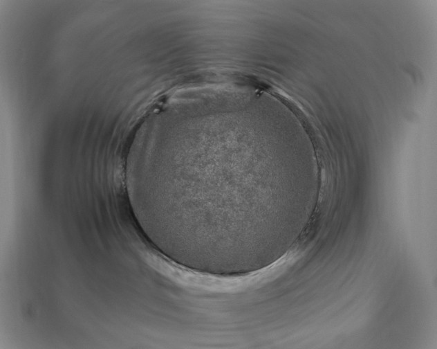 X0000112950048200909071124