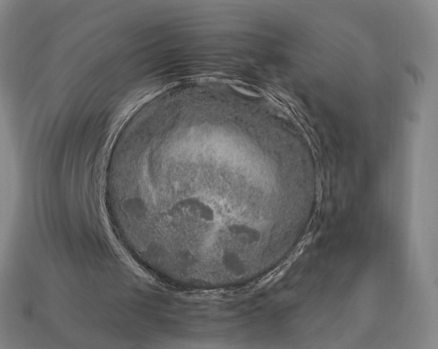 X0000112950049200909071124