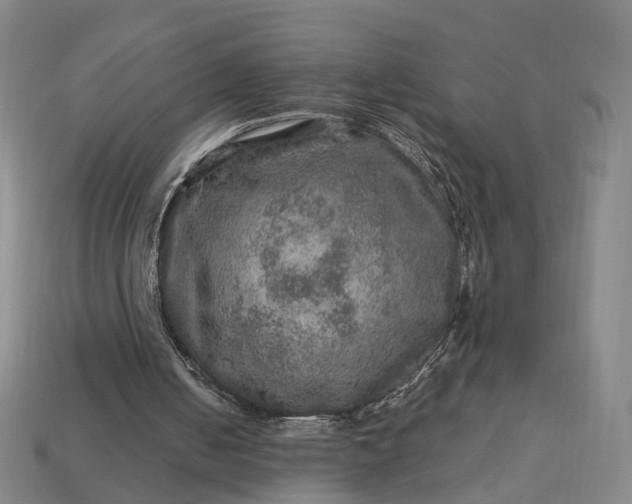 X0000112950050200909071124