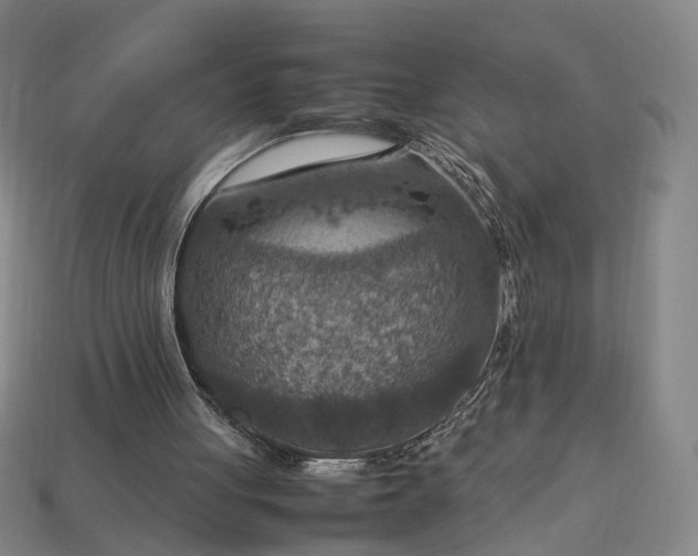 X0000112950051200909071124