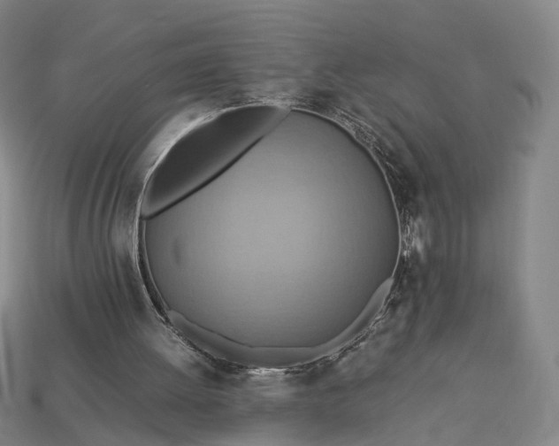 X0000112950052200909071124