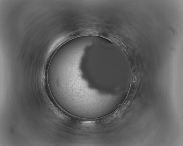 X0000112950053200909071124