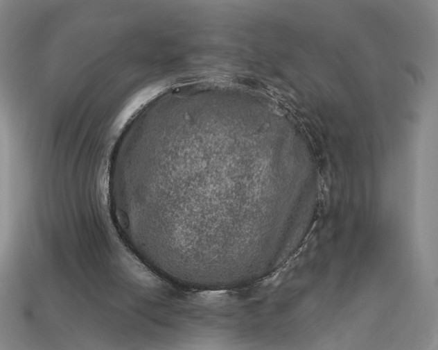 X0000112950054200909071124