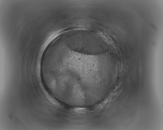 X0000112950055200909071124