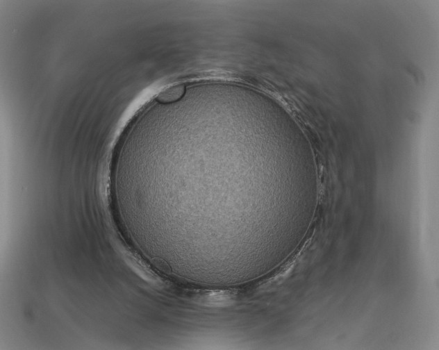 X0000112950056200909071124