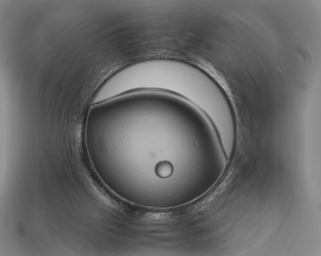 X0000112950057200909071124