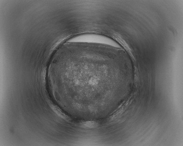 X0000112950058200909071124