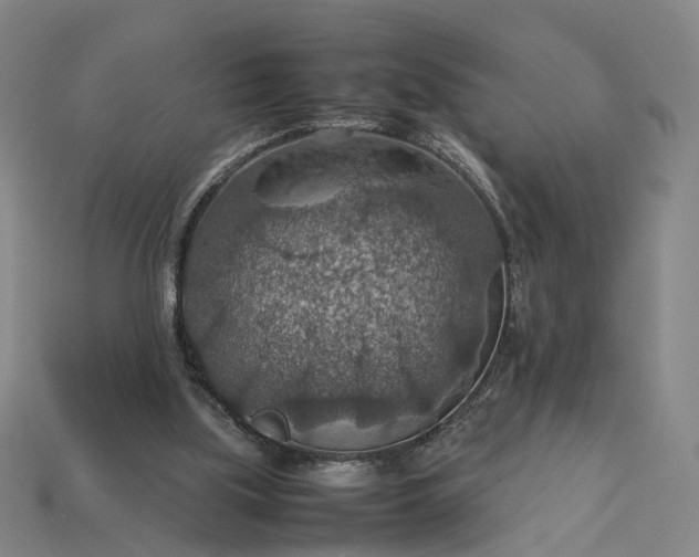 X0000112950059200909071124