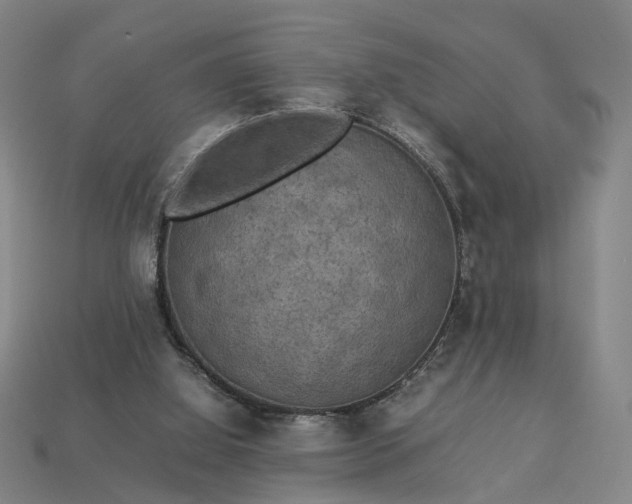 X0000112950060200909071124