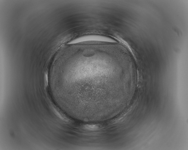 X0000112950061200909071124