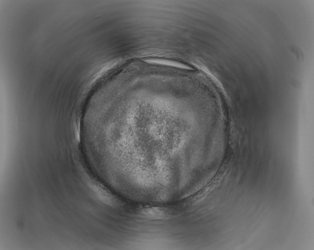 X0000112950062200909071124