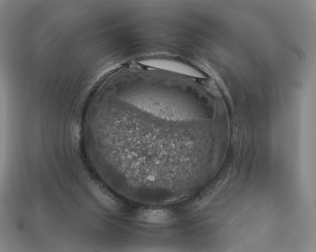 X0000112950063200909071124