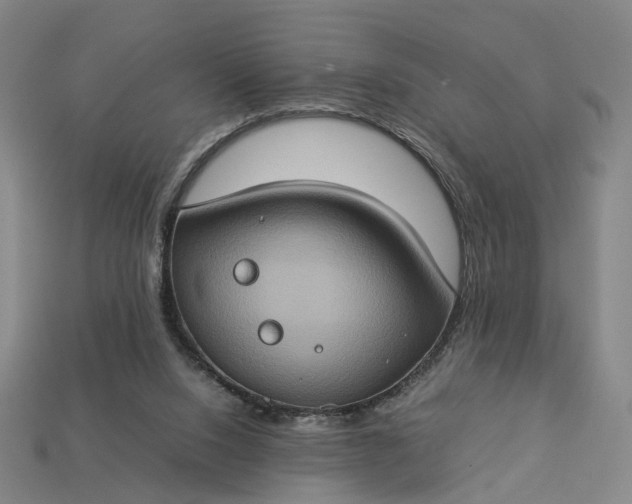 X0000112950064200909071124