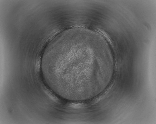 X0000112950065200909071124