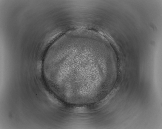 X0000112950066200909071124