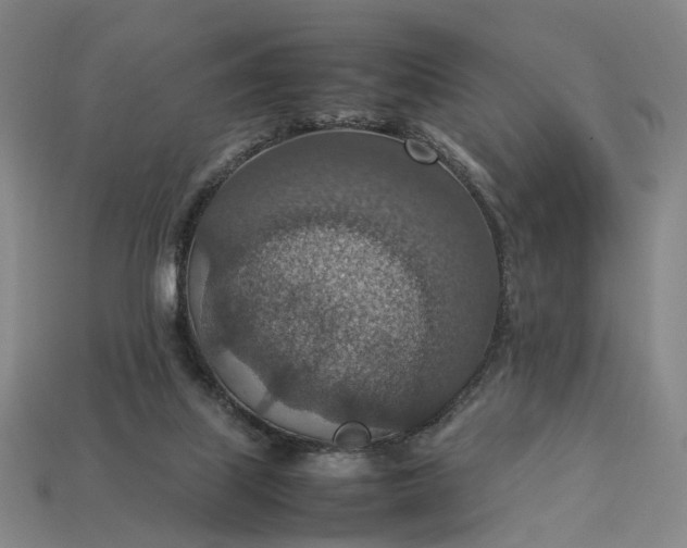 X0000112950067200909071124