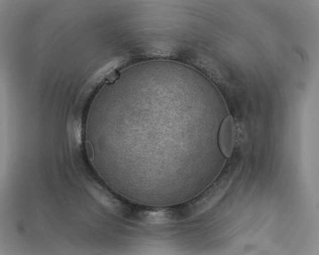 X0000112950068200909071124