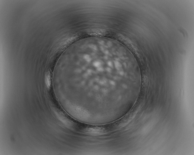 X0000112950069200909071124