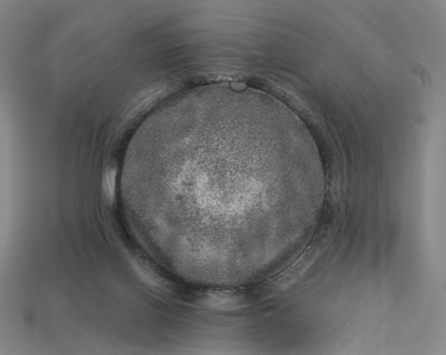 X0000112950070200909071124