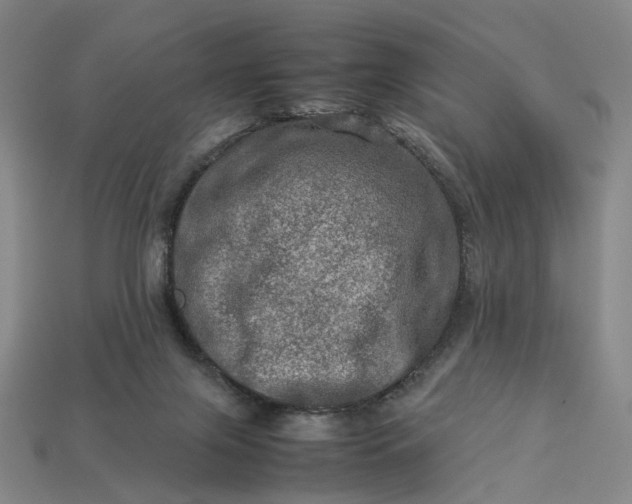 X0000112950071200909071124