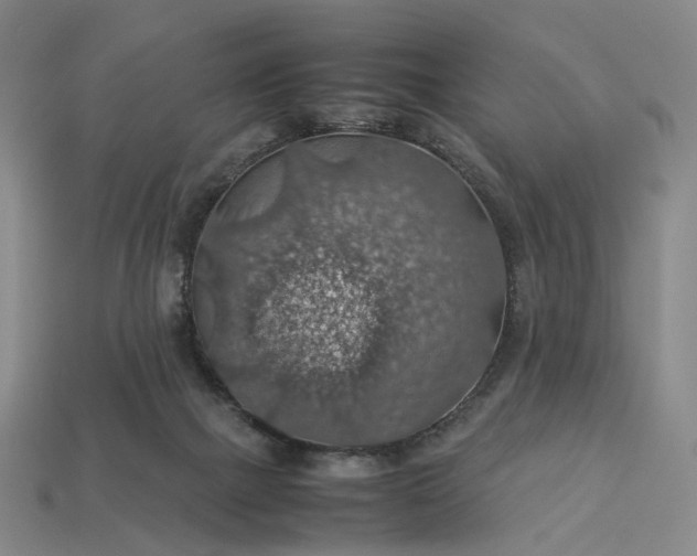 X0000112950073200909071124