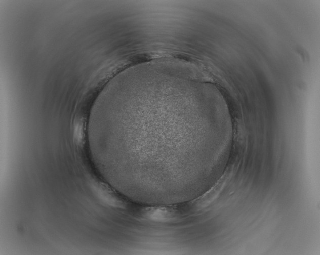 X0000112950074200909071124