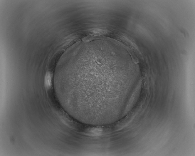 X0000112950075200909071124