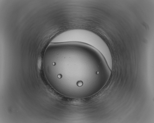 X0000112950076200909071124