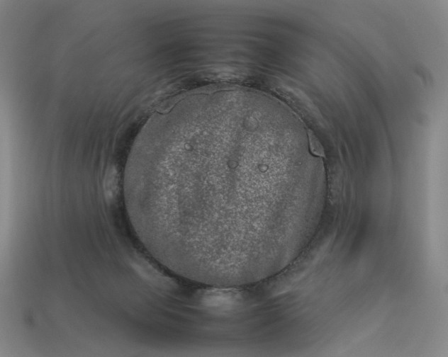 X0000112950077200909071124