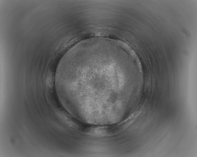 X0000112950078200909071124