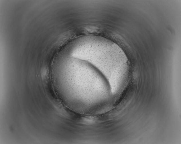 X0000112950079200909071124