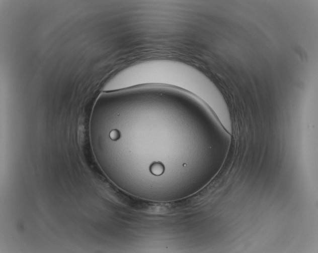 X0000112950080200909071124