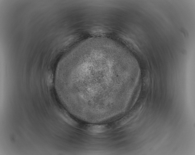 X0000112950081200909071124