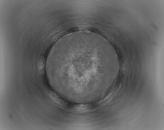 X0000112950082200909071124