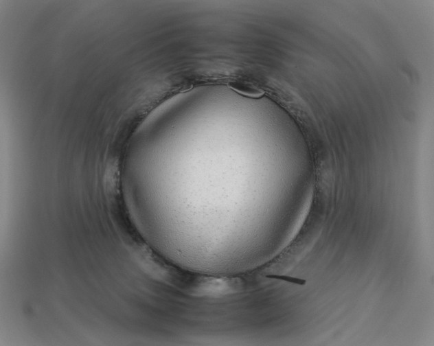 X0000112950083200909071124