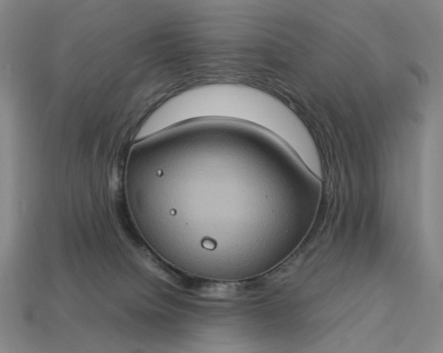 X0000112950084200909071124