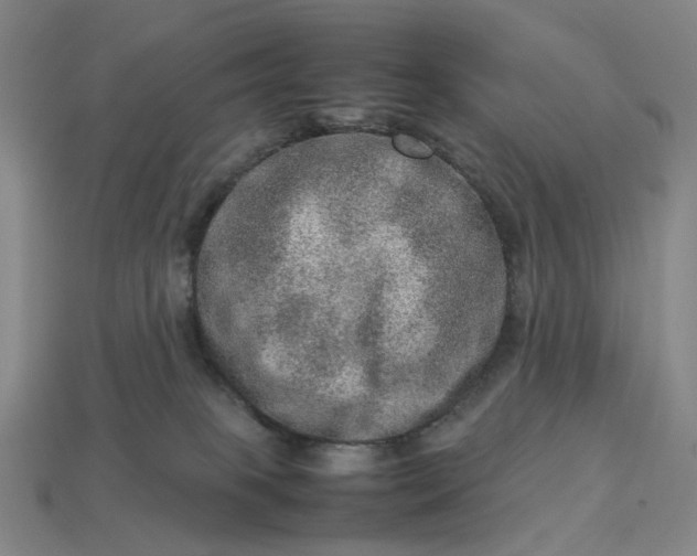 X0000112950085200909071124