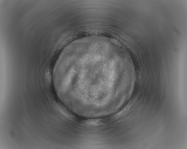 X0000112950086200909071124