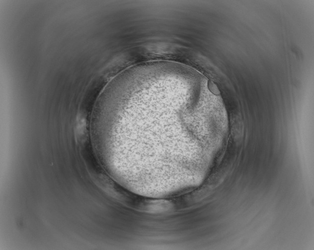 X0000112950087200909071124