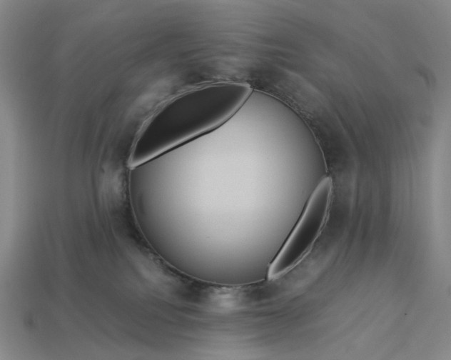 X0000112950088200909071124