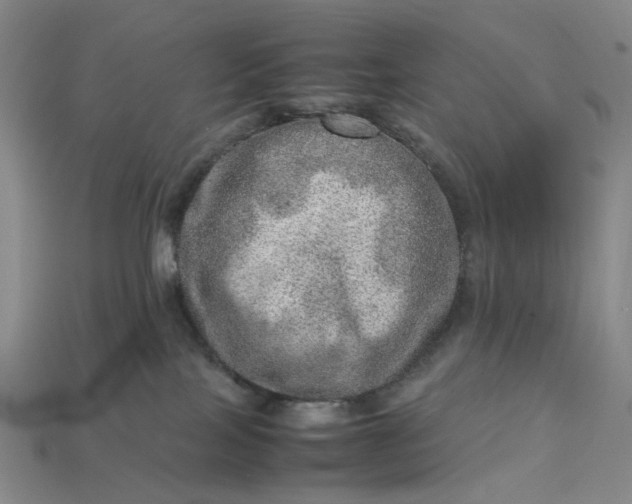 X0000112950089200909071124