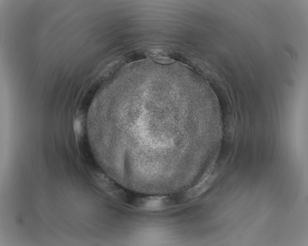 X0000112950090200909071124