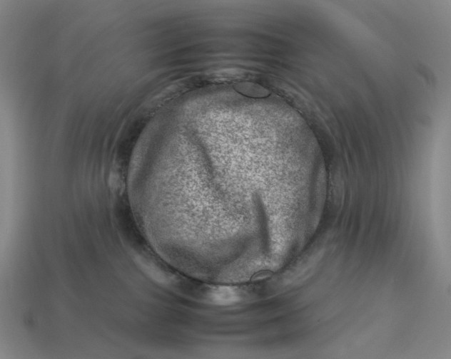 X0000112950091200909071124