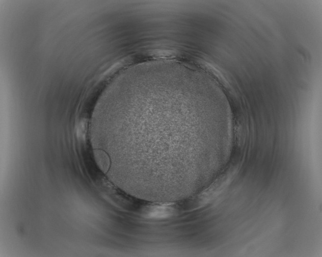 X0000112950093200909071124