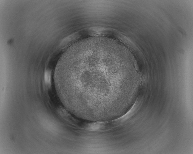 X0000112950094200909071124