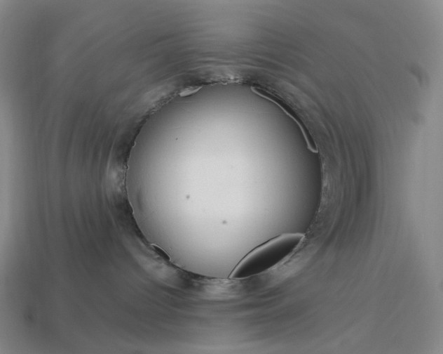 X0000112950096200909071124